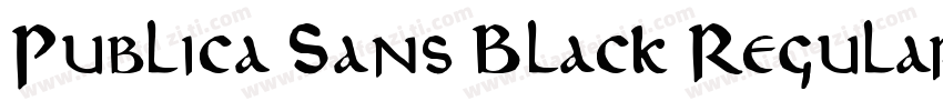 Publica Sans Black Regular字体转换